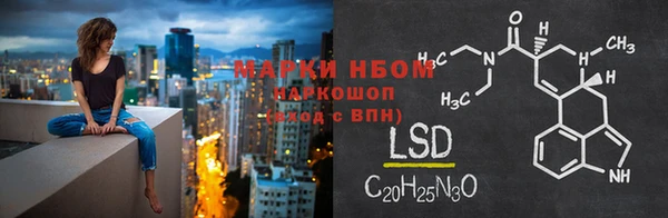 шишки Баксан