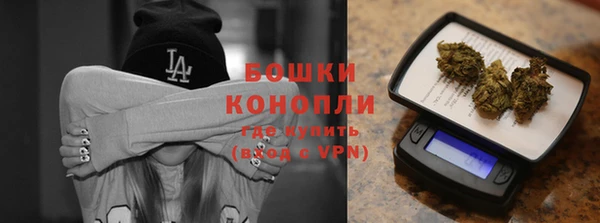 шишки Баксан